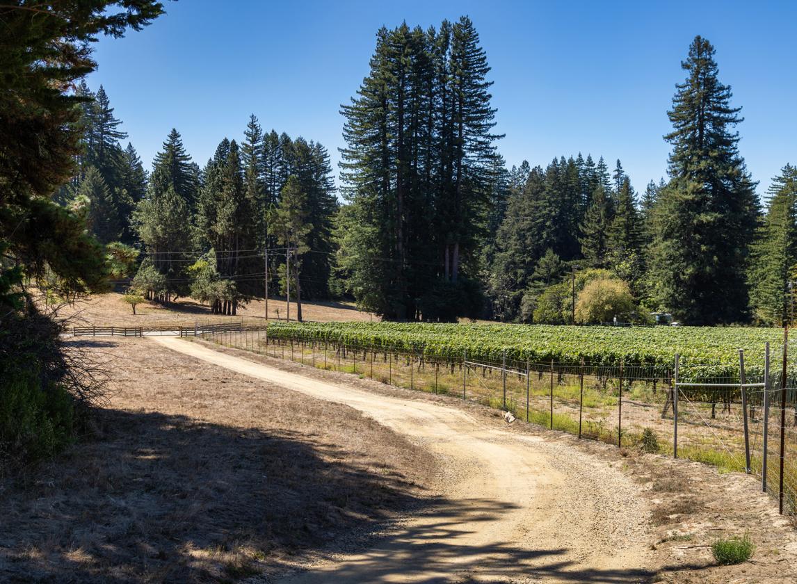 Santa Cruz Equestrian & Vineyard Property - photo 18