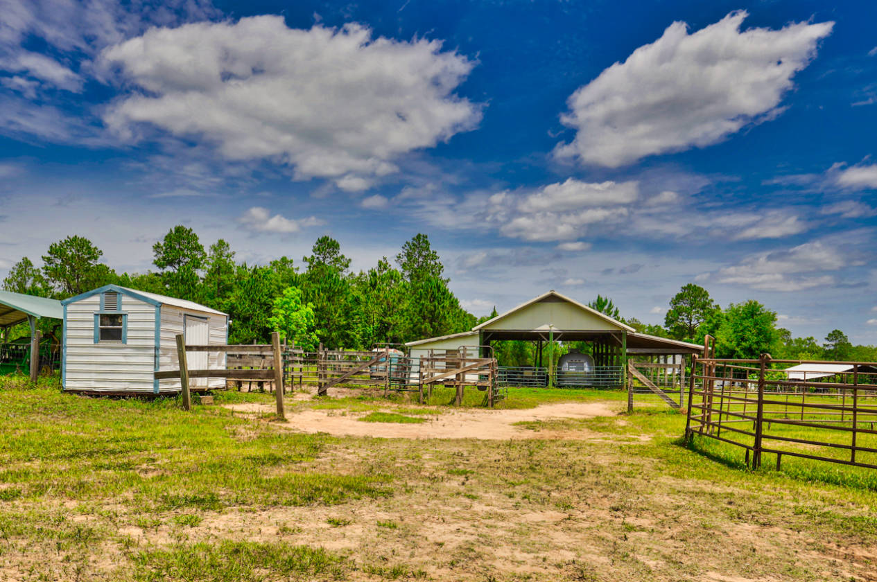 Equestrian Paradise Tallahassee, Leon County, Florida