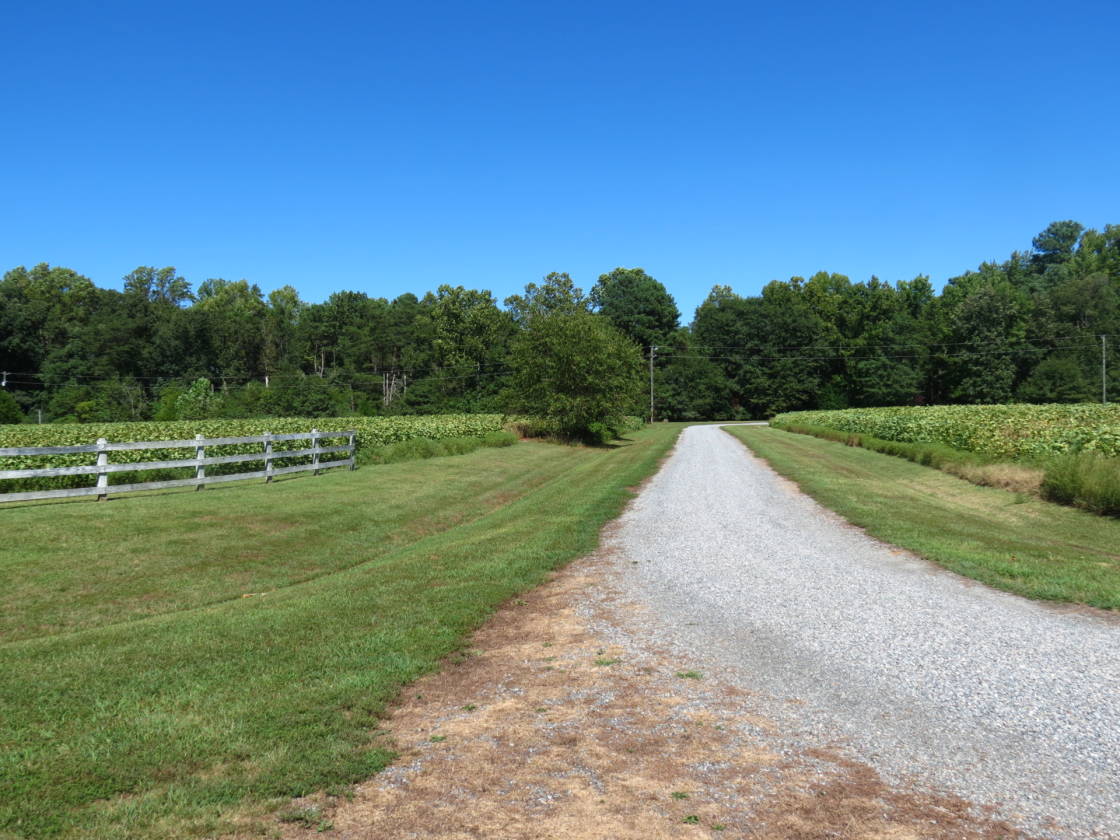 Waterfront and Open Pasture For Horses Lancaster, Lancaster County, Virginia Horse Properties
