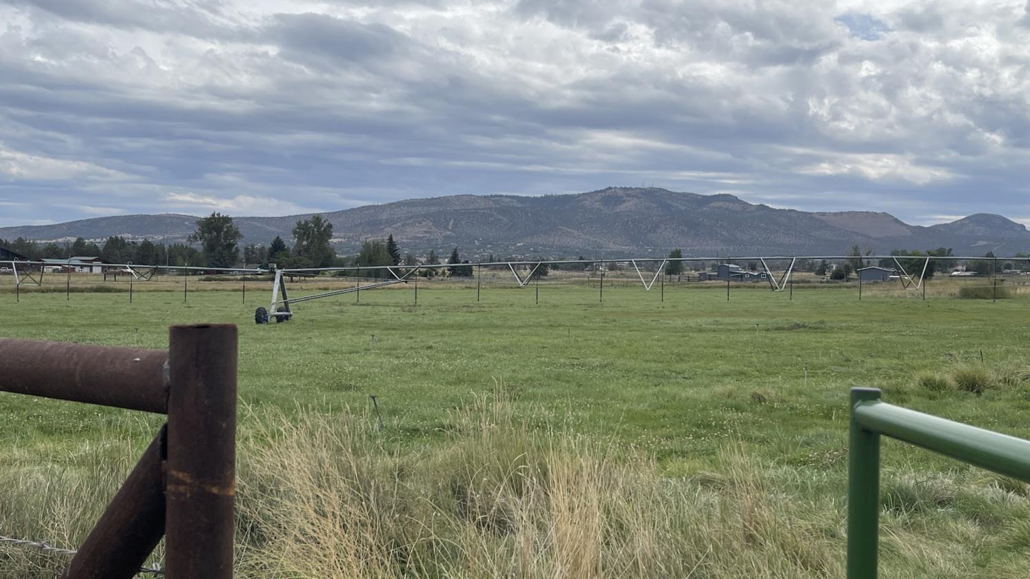 29 Acres | 24.34 Irrigated | Horse-Ready - photo 14