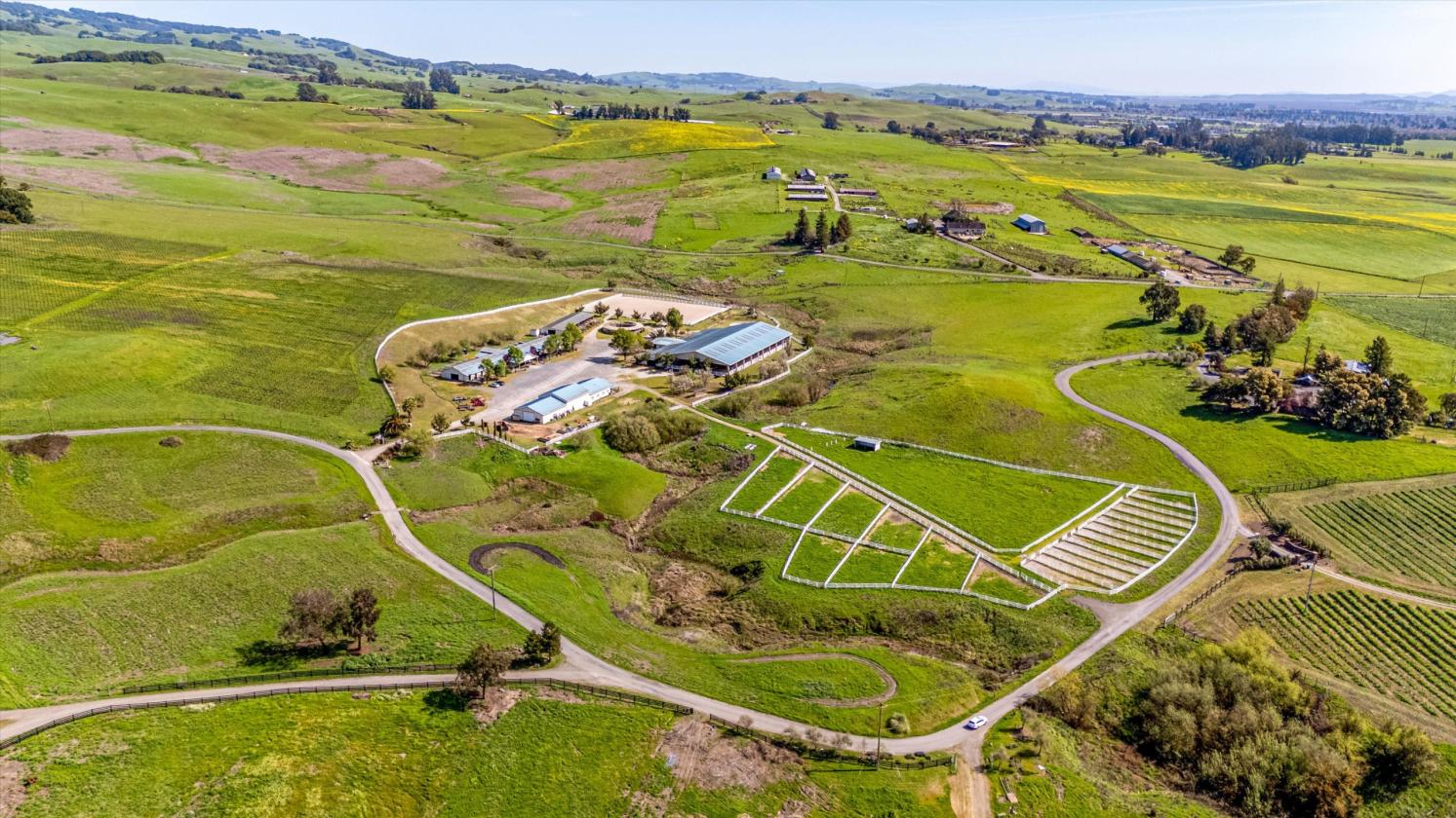 Where World-Class Pinot Meets Premier Equestrian - photo 1
