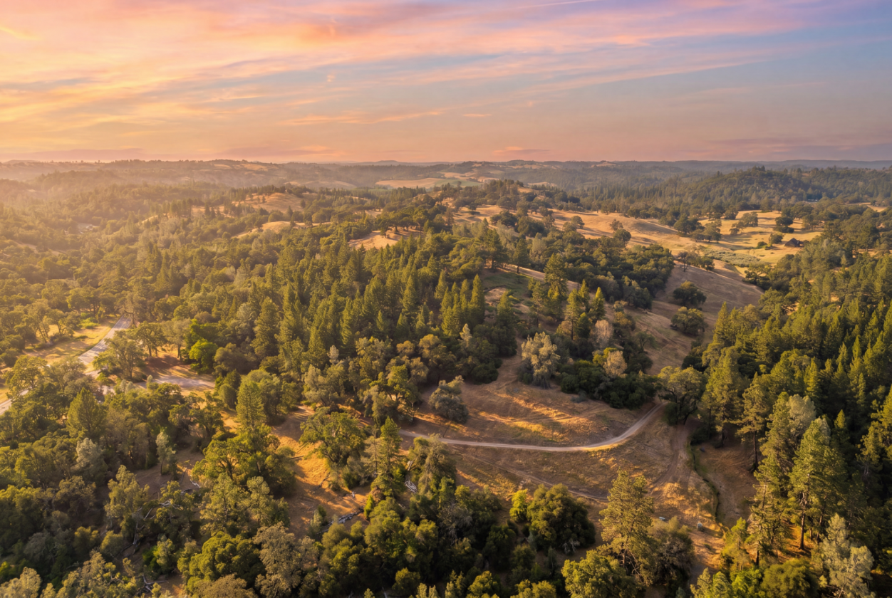 Amoruso Ranch - photo 4