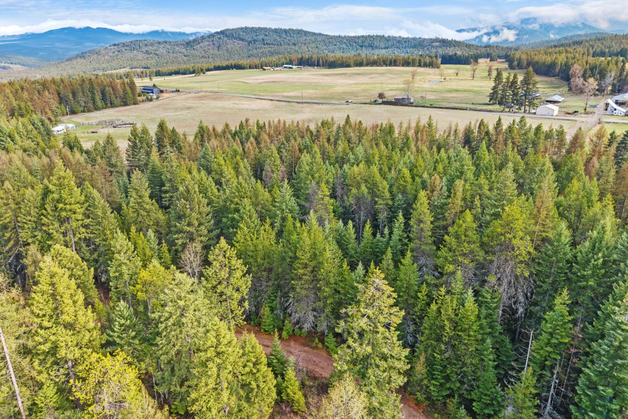 Level 20.65 acres w/Creek, Pasture & Woods - photo 8
