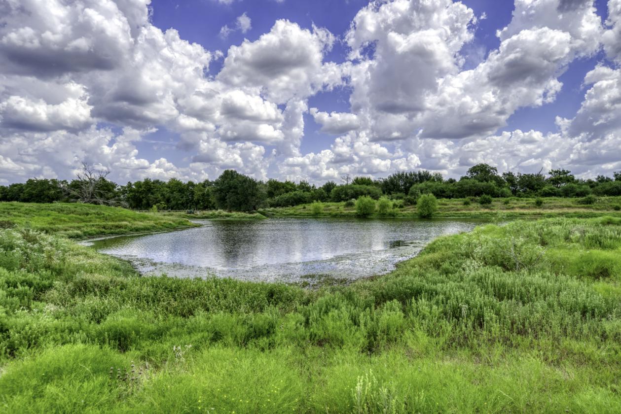 Arrow C Ranch - photo 12