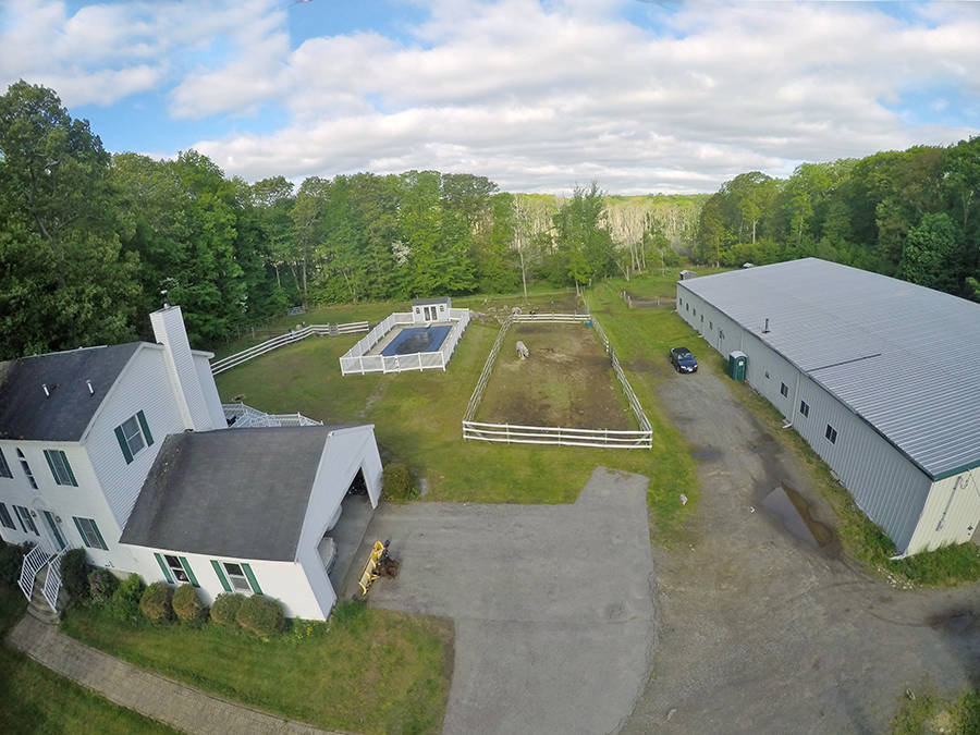 Flying Horse Farm Ledyard, New London County, Connecticut Horse