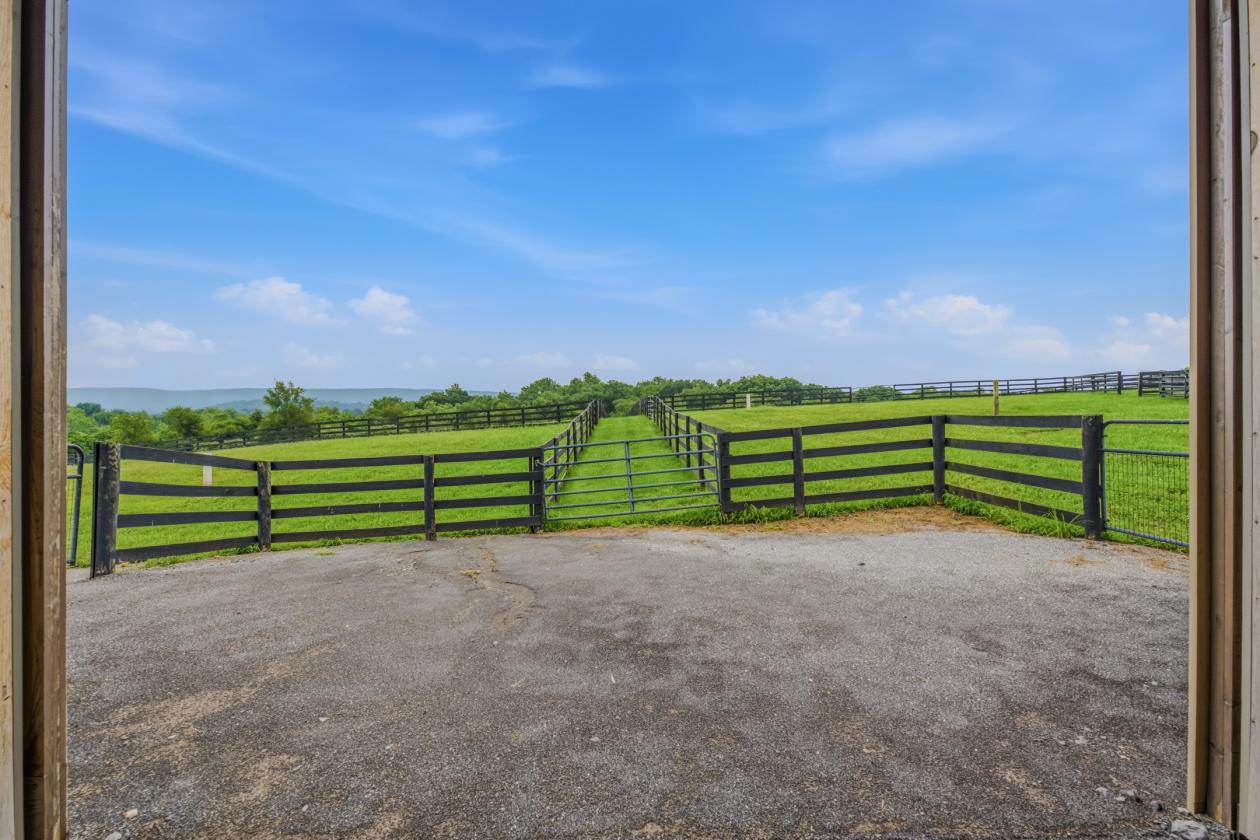 20 Acre Horse Farm and beautiful home - photo 28