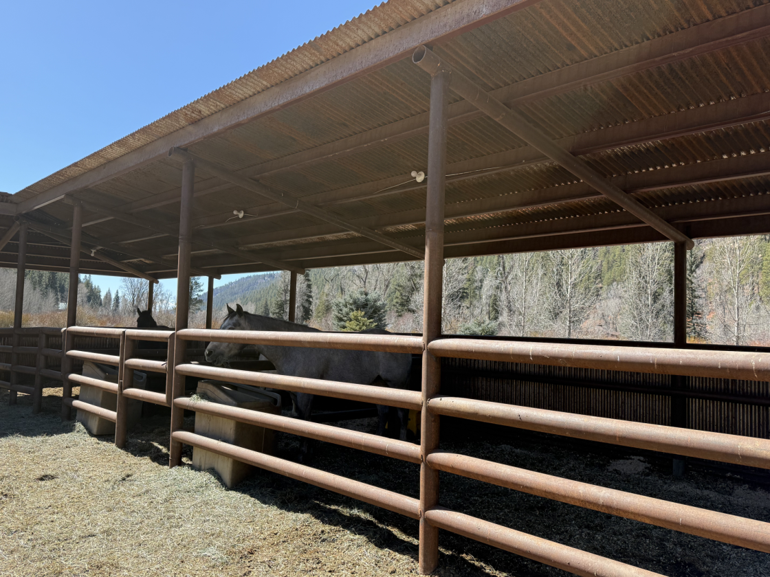 Riverfront Legacy Equestrian Ranch - photo 18