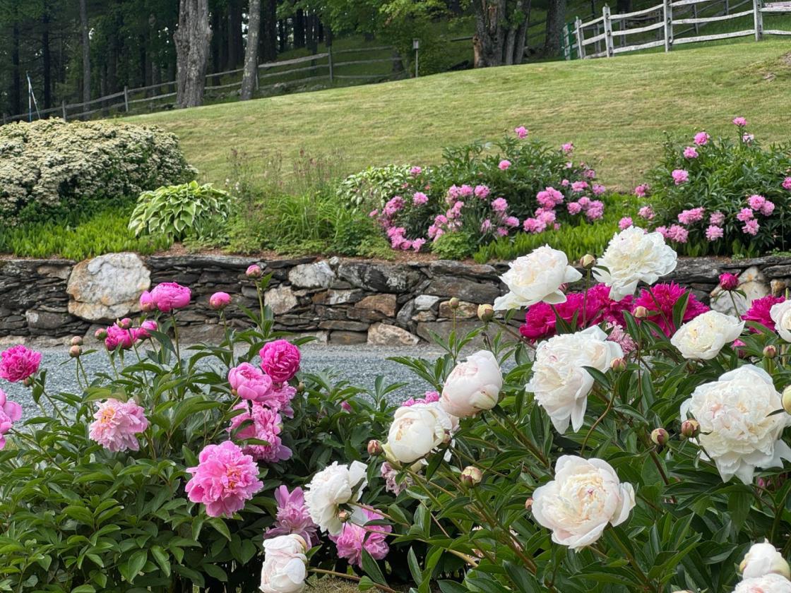 Tuacknback Farm - photo 7