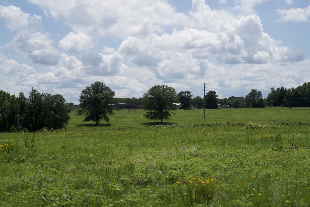 273+/- Acres With 20,000 Square Covered Arena - photo 22