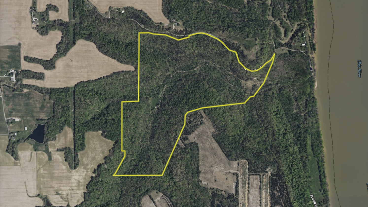 Wooded Estate With Multiple Clover Fields And Home - photo 18