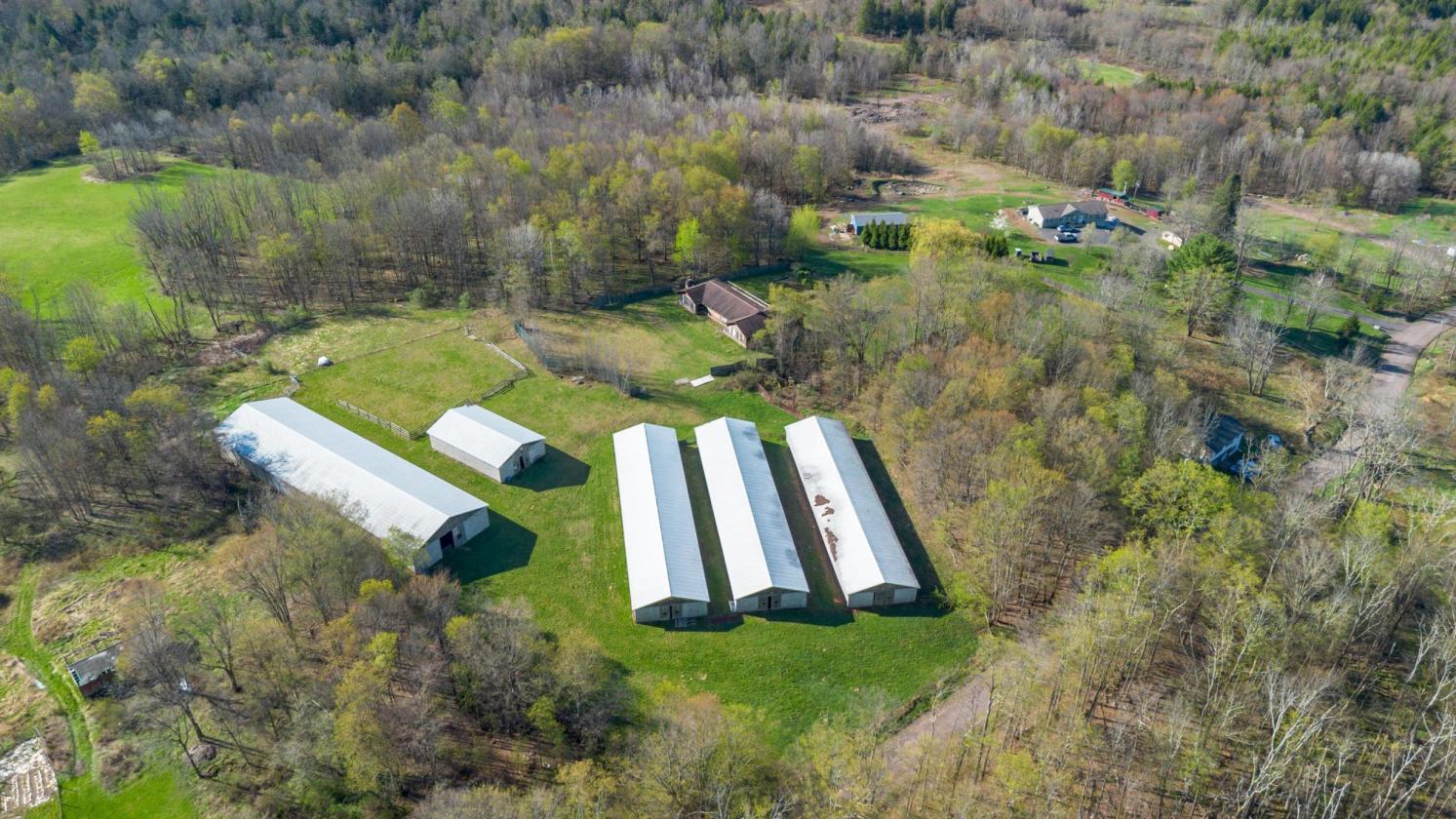 Horse rehabilitation center - photo 12