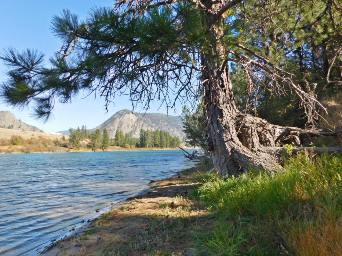 Riverfront Equestrian Land, Thompson Falls, Montana Thompson Falls