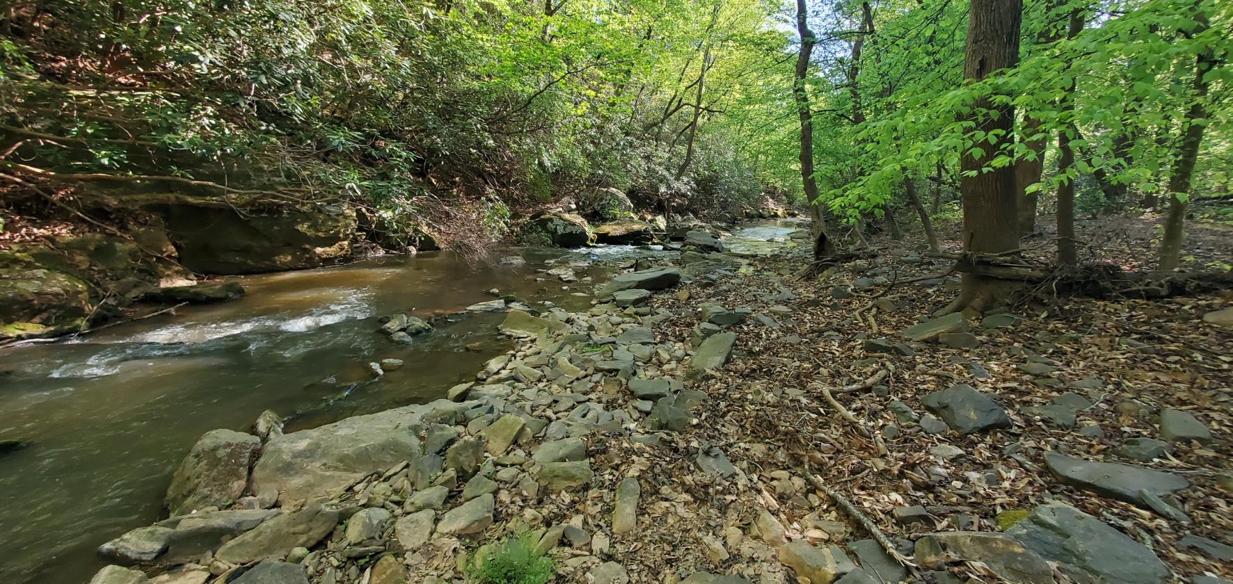 1,060 Self-Sustaining Acres in Alexander County - photo 18