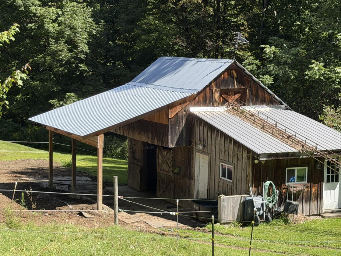 Country Retreat on 5 acres with stable - photo 6