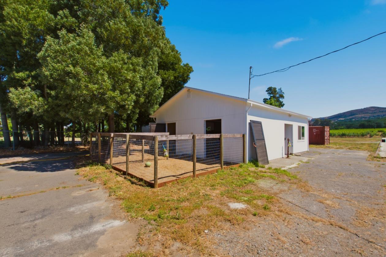 Rare Horse Property with Vineyard Views! - photo 21