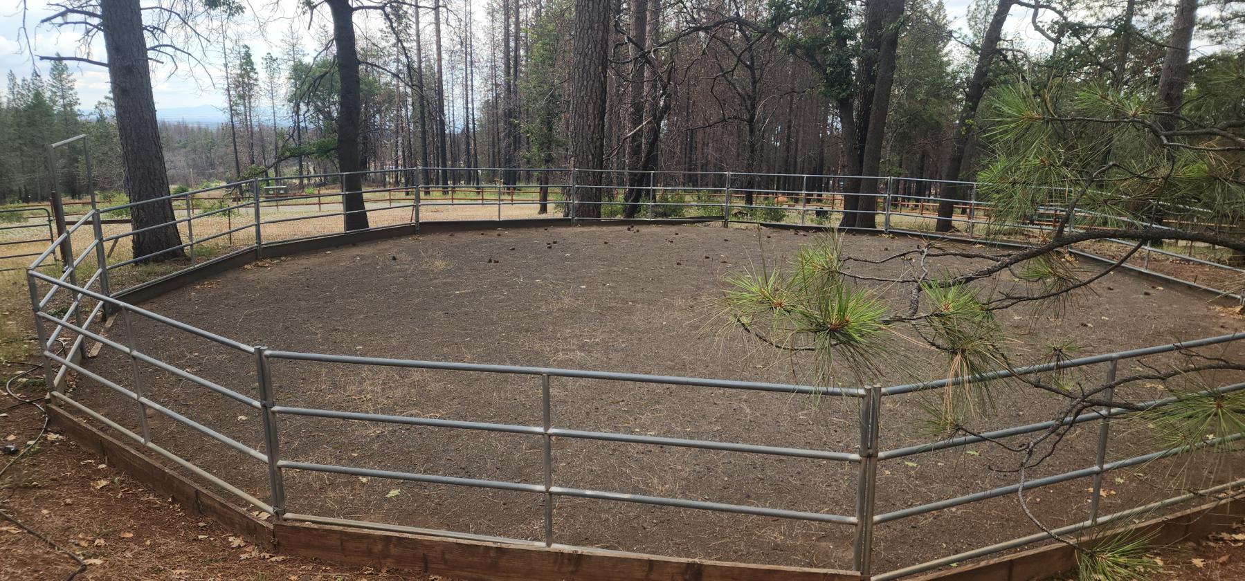 2 houses & horse stables on 6.4 acres zone 9 - photo 2