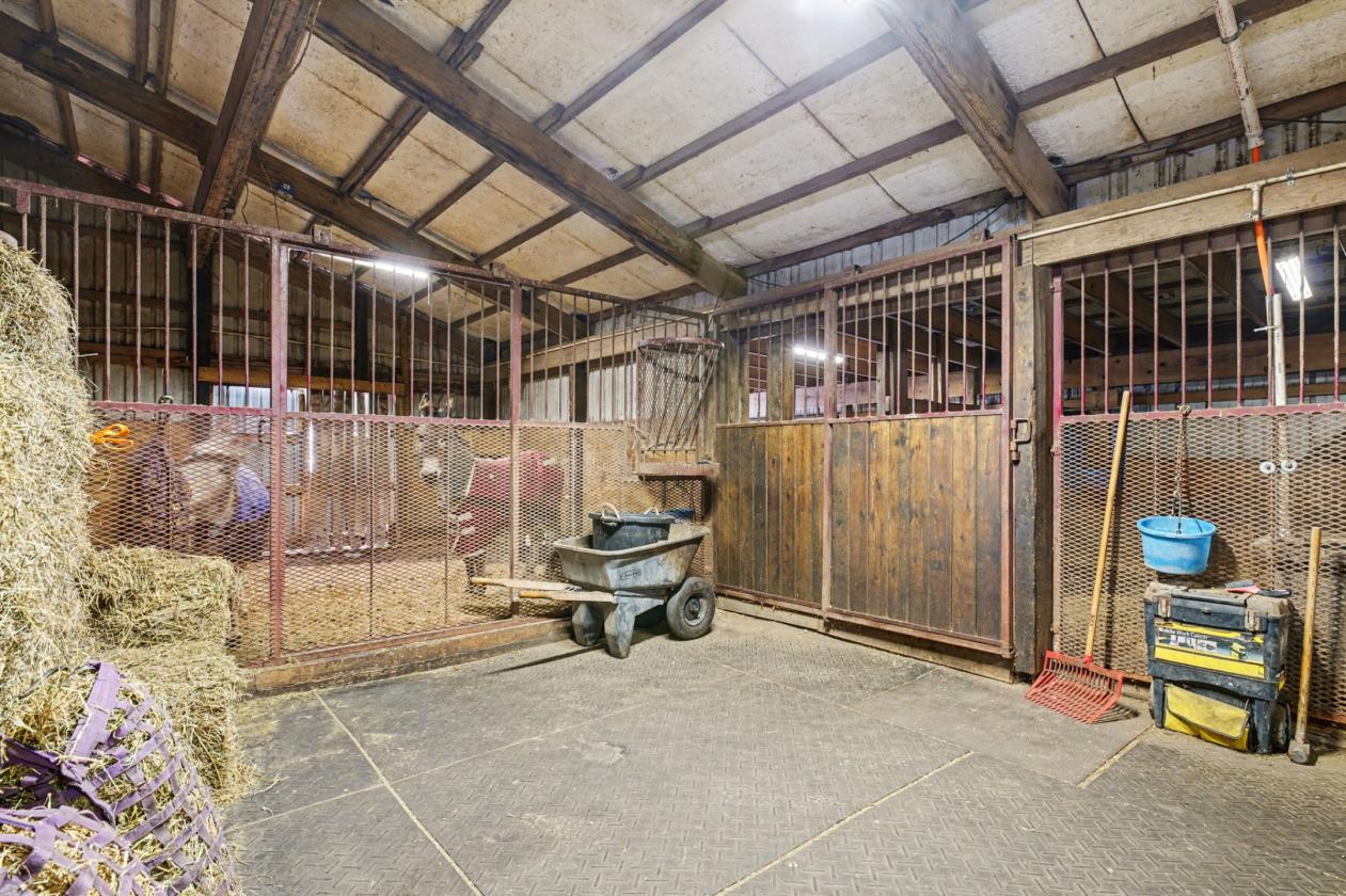 Whitetail Acres - photo 28
