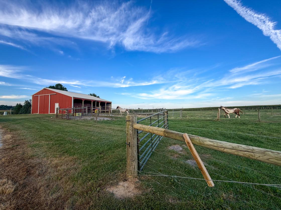 Beautiful Horse property nestled on 20 acres - photo 6