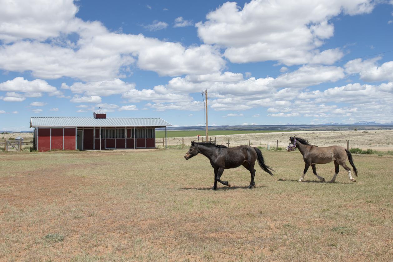 Exquisite Horse Property with Mountain Views - photo 26