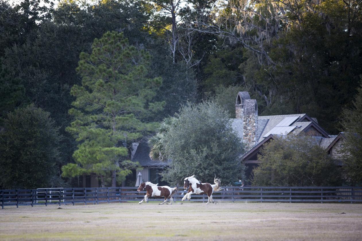 One-of-a-Kind Home in Equestrian Community - photo 25