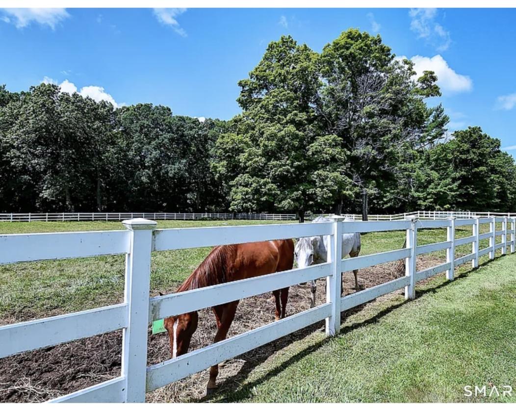 Historic equestrian estate, modern conveniences - photo 4