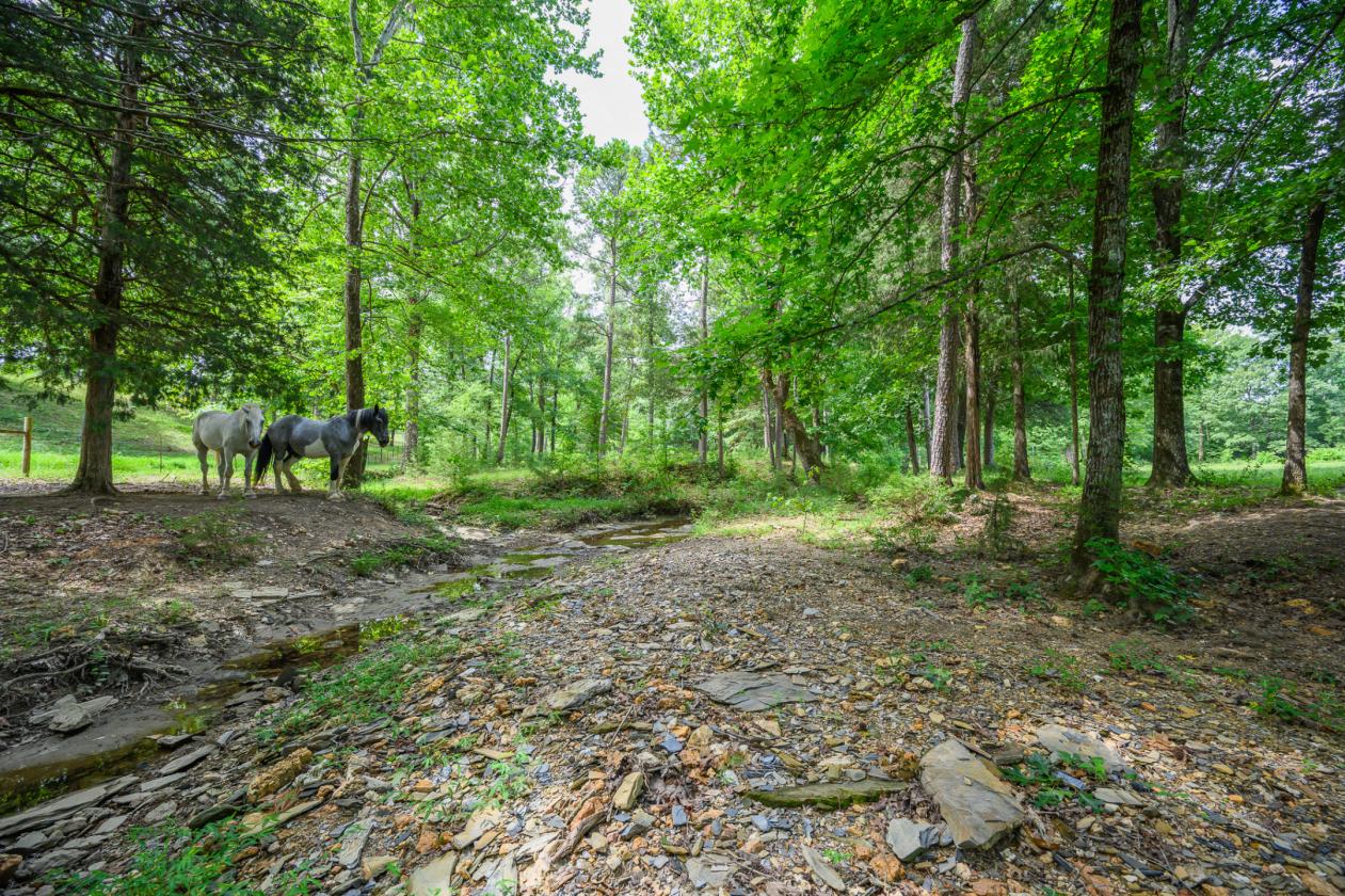 Creekside 17.7-acre horse and hobby-farm property - photo 30