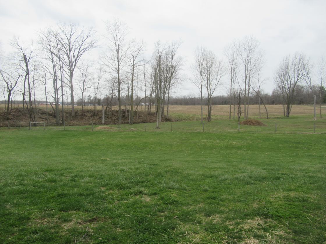 Horse Property w/ Indoor Arena & 4-Stall Barn - photo 11