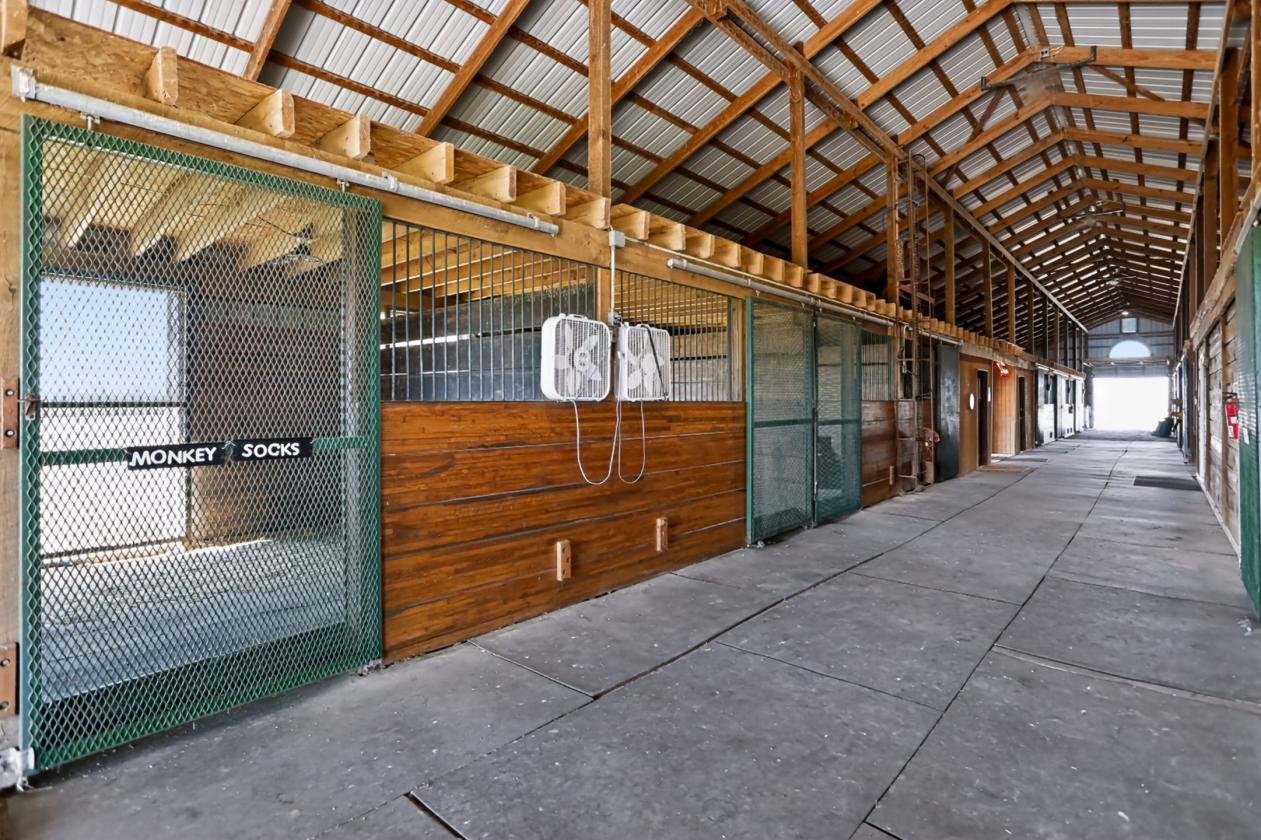 Ideal Equestrian training & boarding facility - photo 21