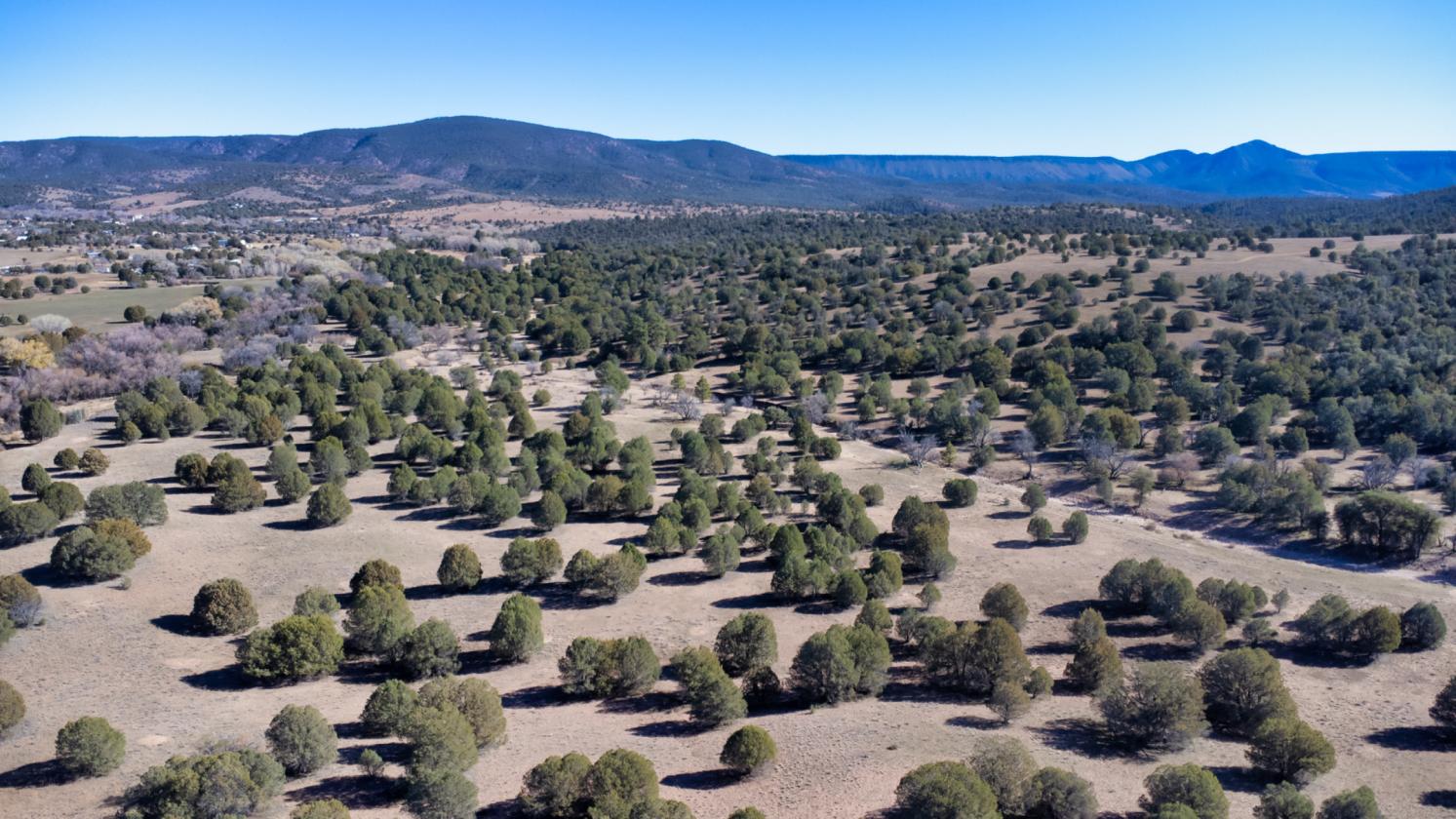 River Ranch - Young, AZ - 159± Acres - photo 13