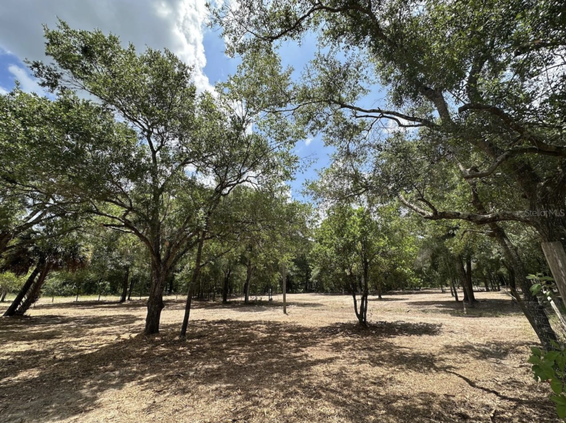 14.5 ACRES • NOW AR ZONED • HORSES/RVS • NO HOA! - photo 16