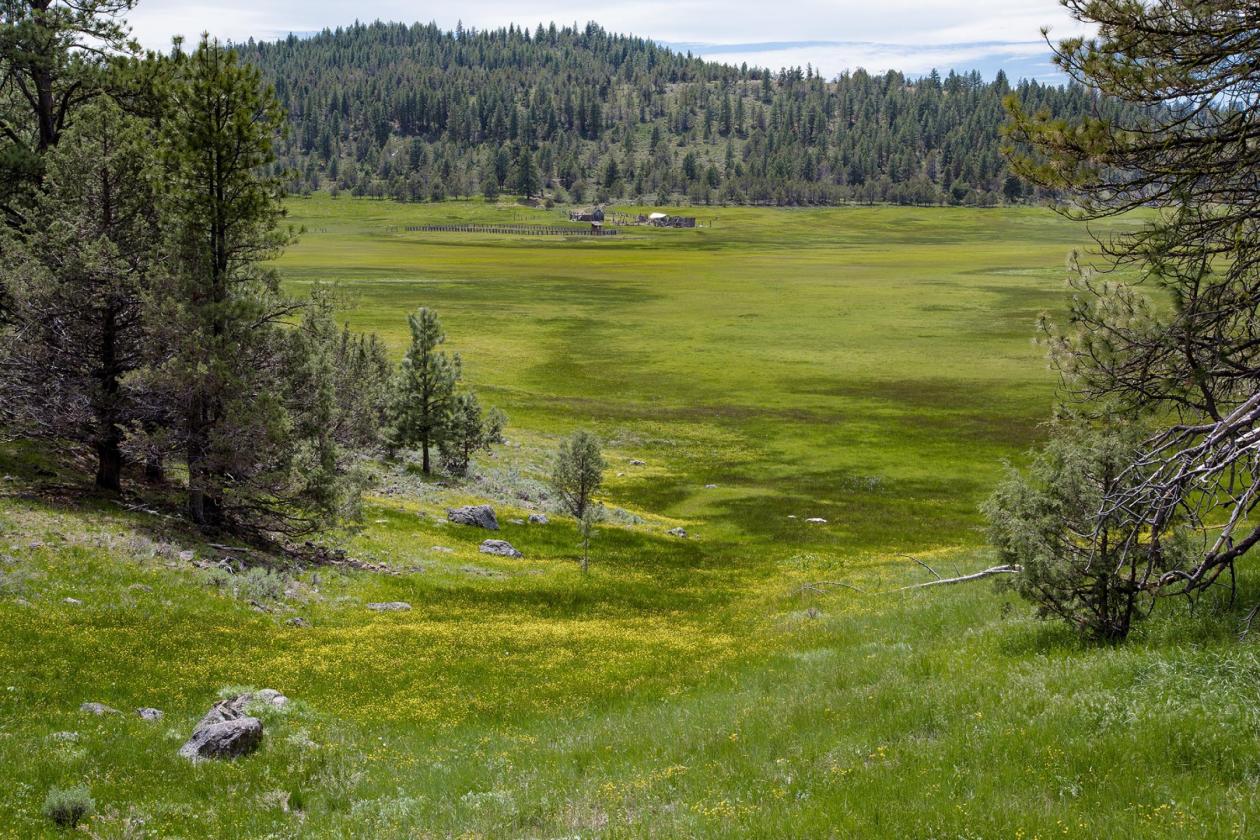 Aspen Ridge Ranch - photo 7