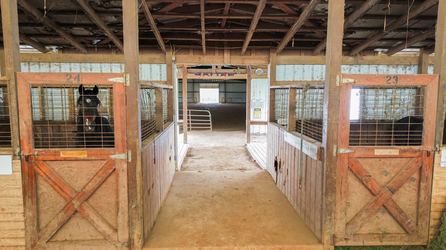 Horse Farm w/Barn, Arena, Apt, 12+ Acres - photo 23