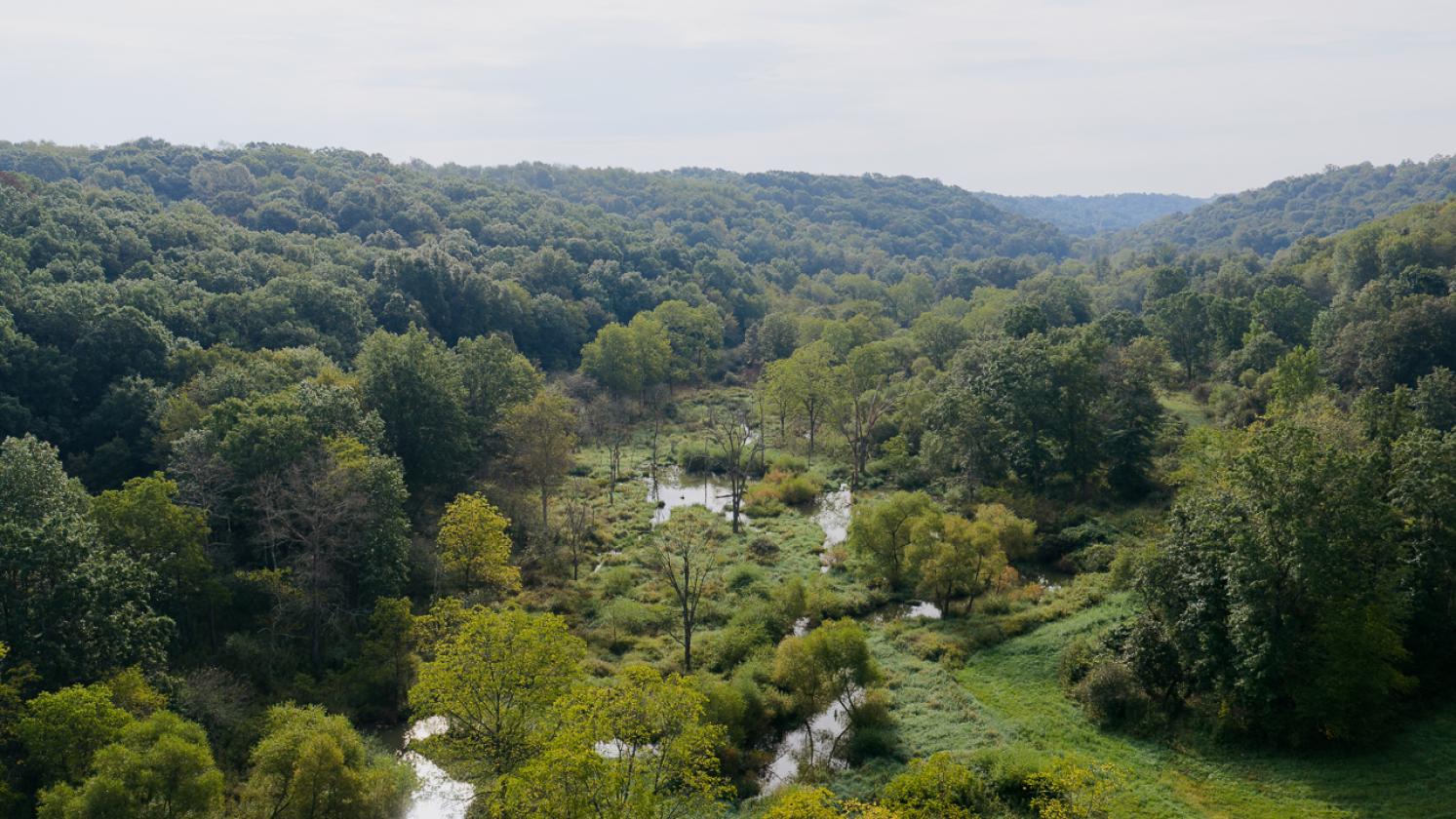 414 Acres, No Zoning, 24-Acre Lake, Hunting Cabin - photo 25