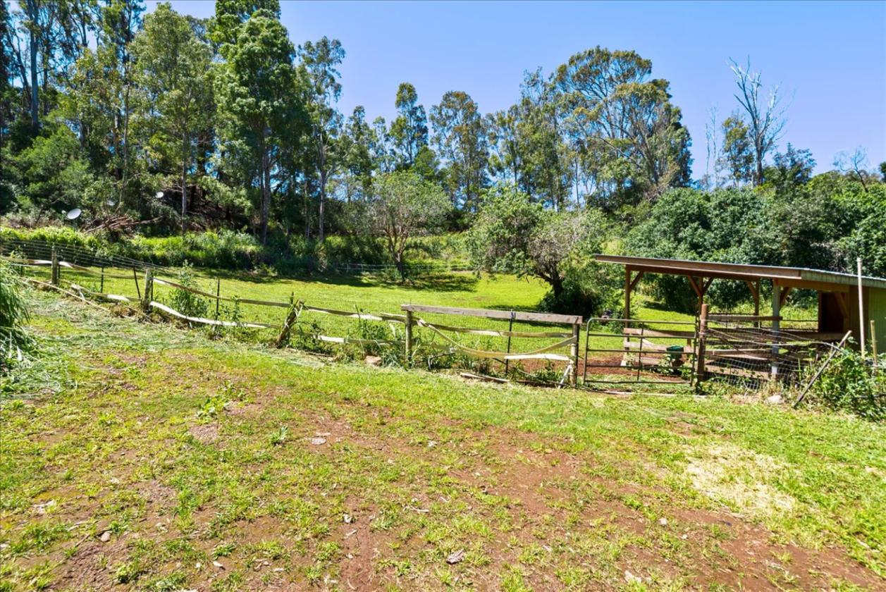 Working Horse ranch on Maui - photo 6