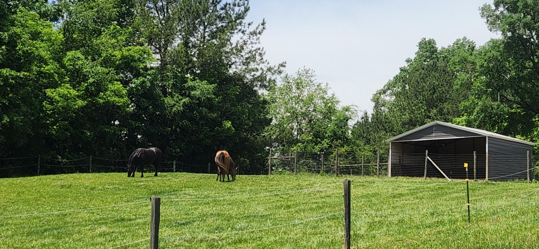 45-acre horse farm between Eden & Stoneville - photo 14