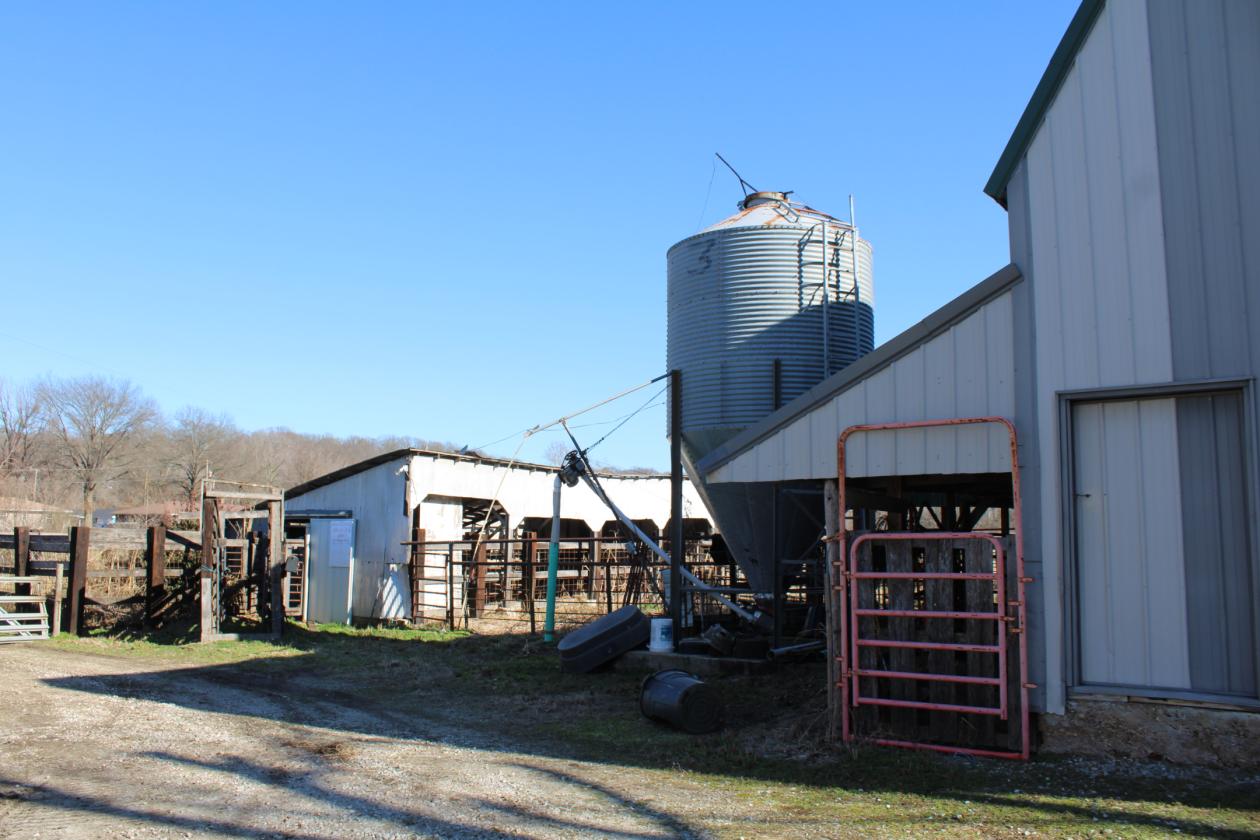 Small Farm with Ranch-Style Home & Large Barn - photo 4