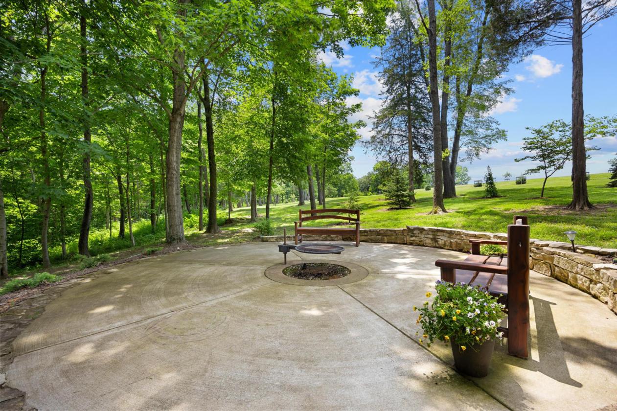 Your Own Private Paradise on 66 Acres - photo 22