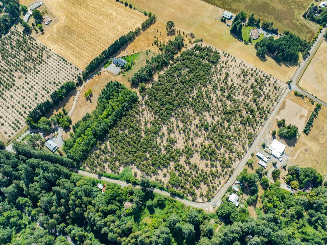 2 Hazelnut lots in Sherwood Horse arena Potential! - photo 7