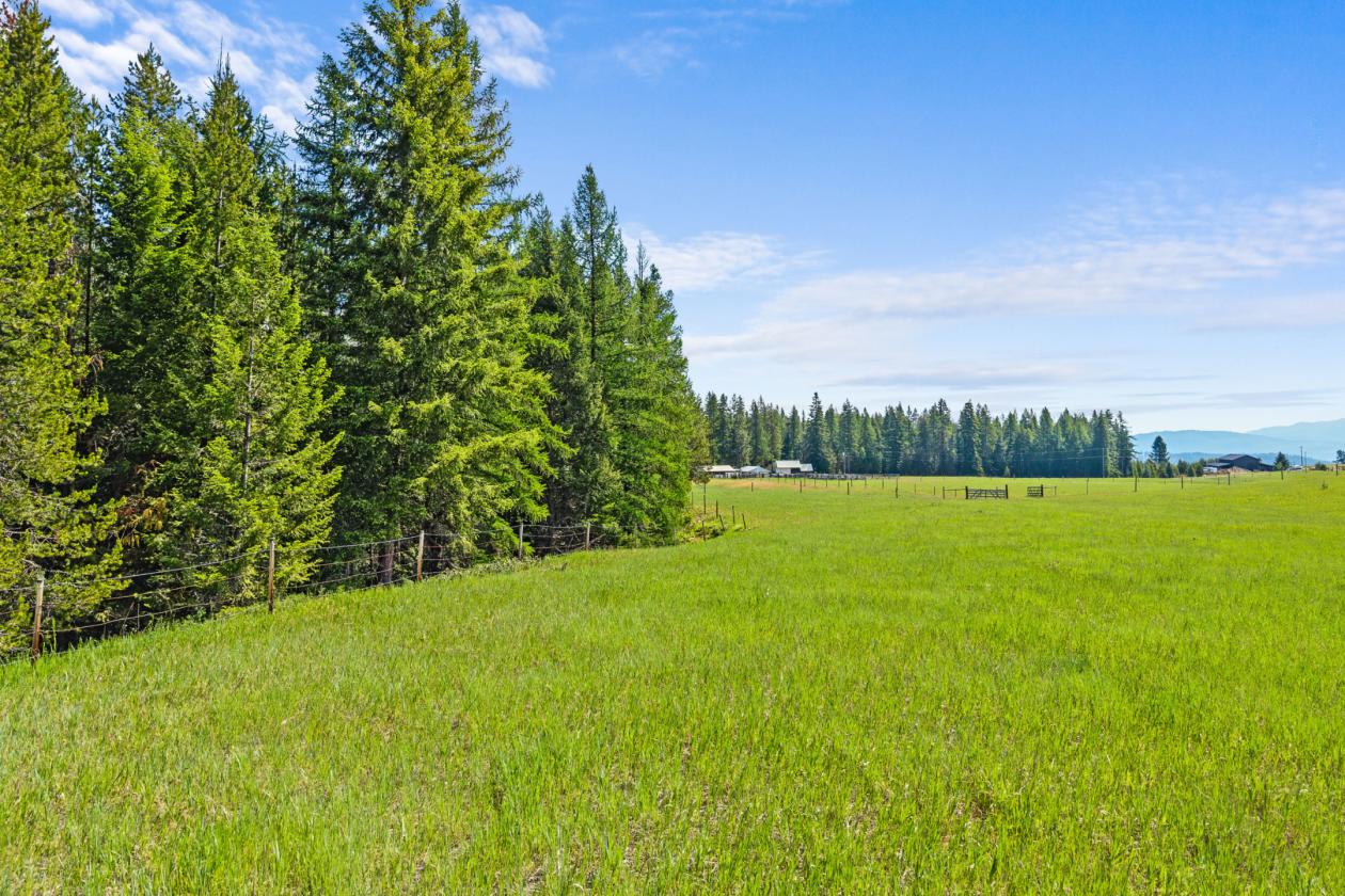Level 20.65 acres w/Creek, Pasture & Woods - photo 17