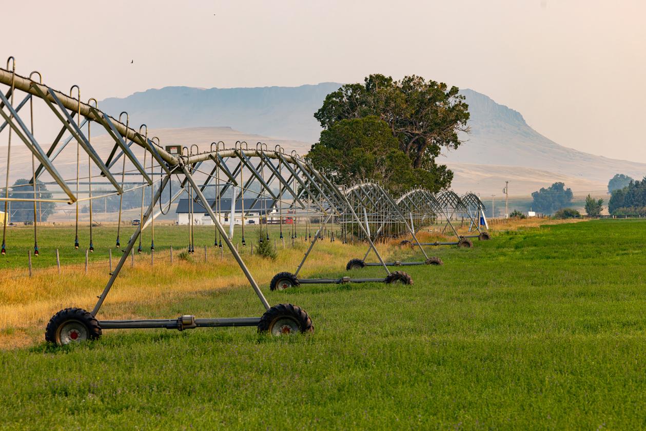 Sun River Equestrian - photo 6