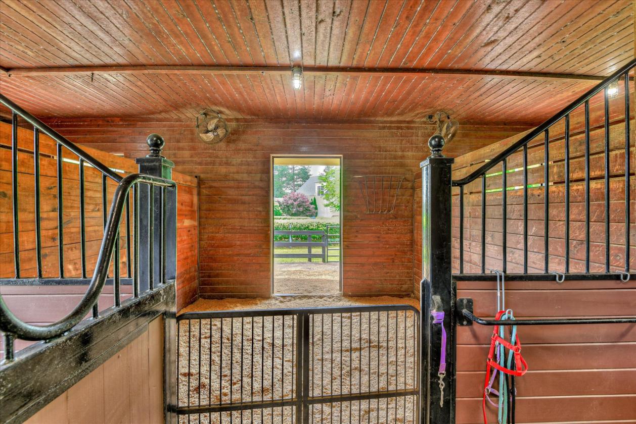 Horse Property | Three Runs Plantation | 8 Acres - photo 11