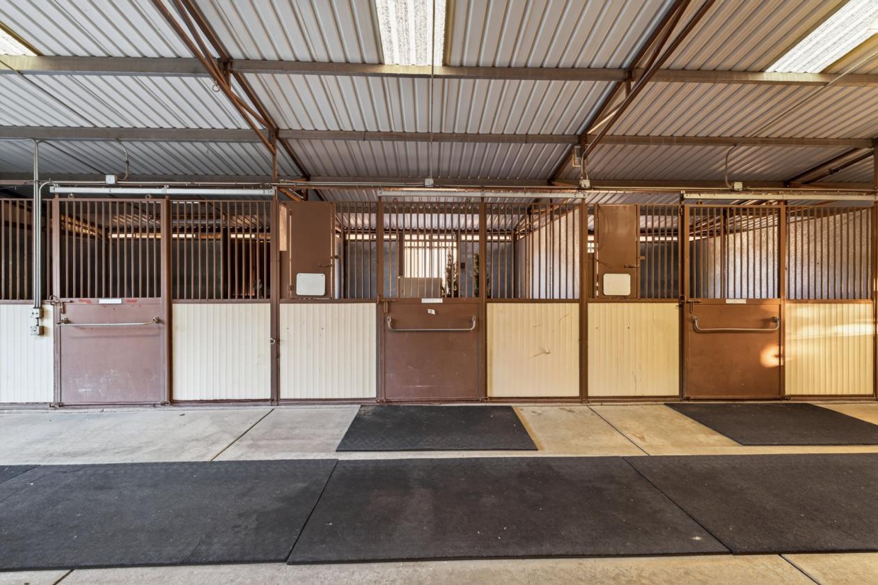 116-Acre Luxury Equestrian Estate & Vineyard - photo 11