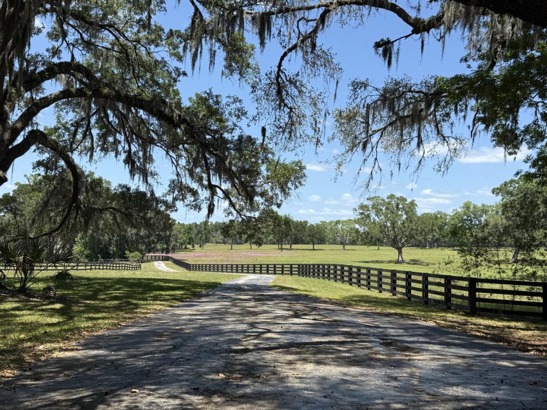 Tiffany Farm - 108 Acres - photo 25