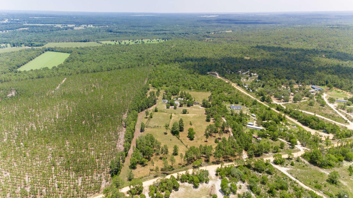 21.65 flat acres with large home and paddocks - photo 8