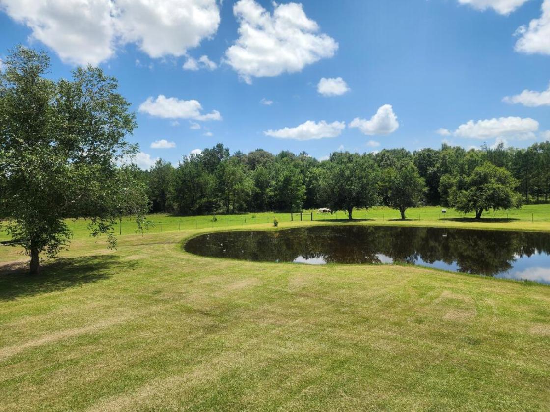 Stunning 22.6-Acre Horse Property - photo 24