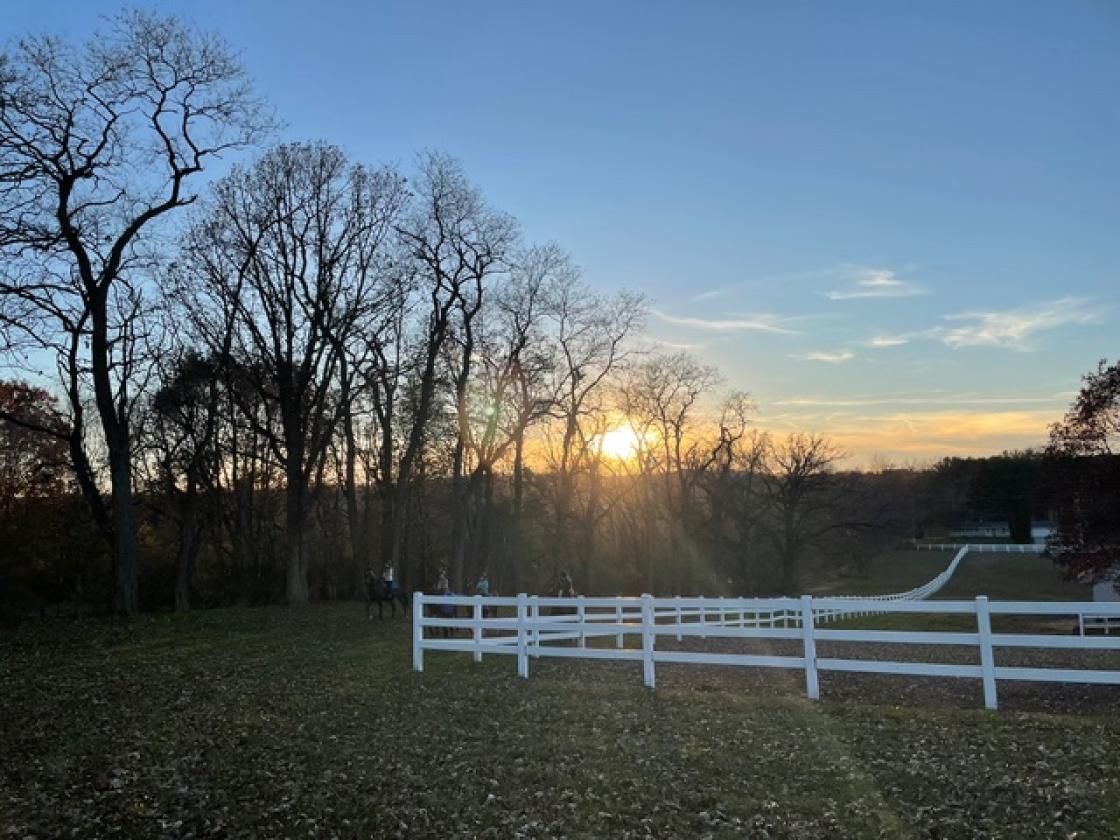 Executive Equestrian center - photo 16
