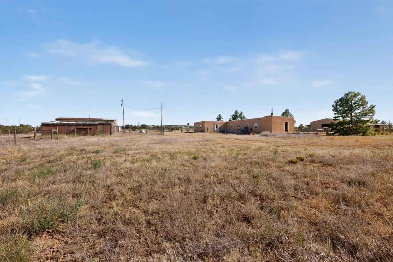 Fabulous, one of a kind horse property - photo 29