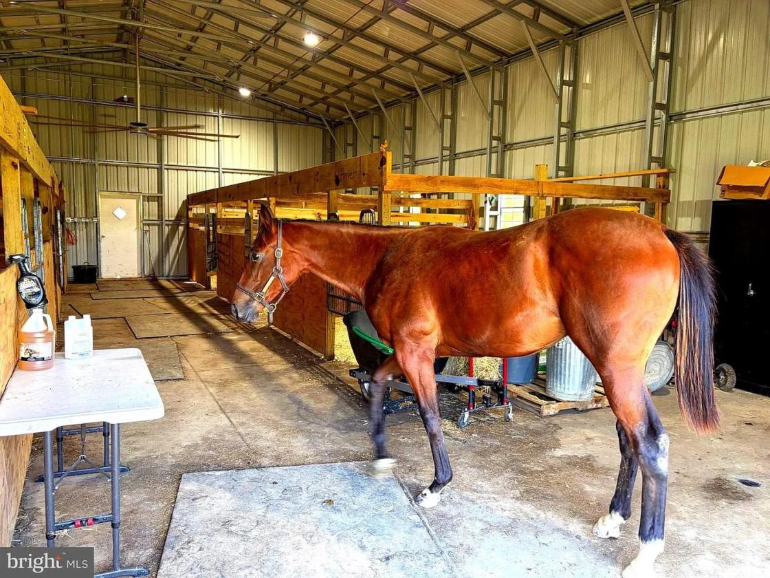 Shenandoah Valley Equestrian Lifestyle - photo 6