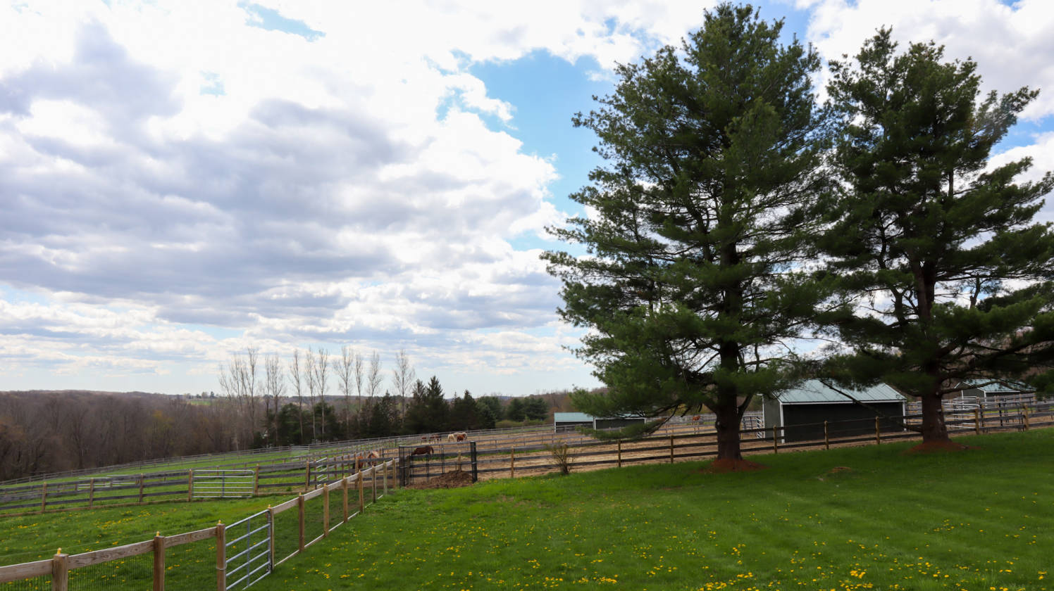 Equestrian Paradise in Litchfield, CT | Litchfield, Litchfield County