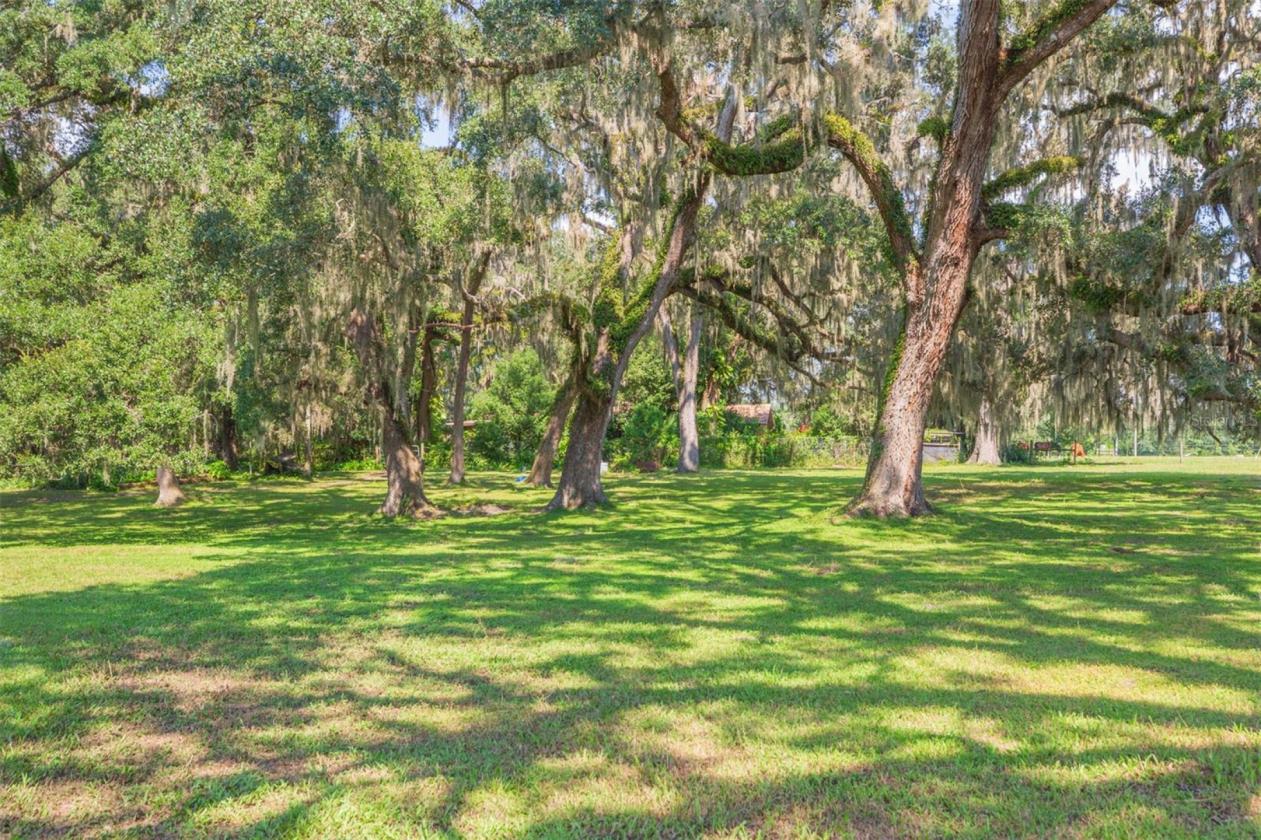 38.3 ACRE FARM WITH NEWLY REMODELED HOME - photo 25